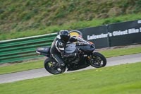 Middle Group Black Bikes